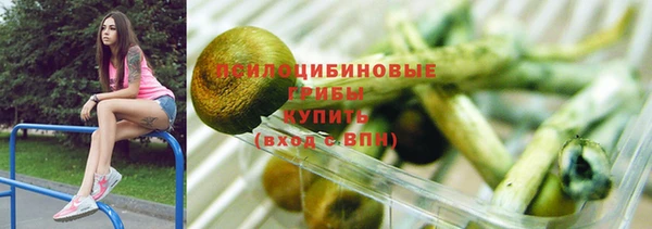 гашик Бородино