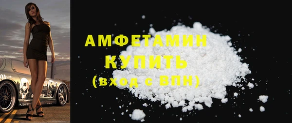 прущие грибы Верхний Тагил