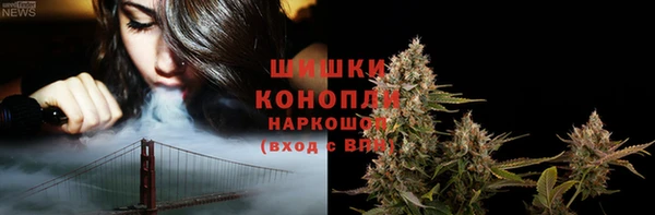 шишки Ростов