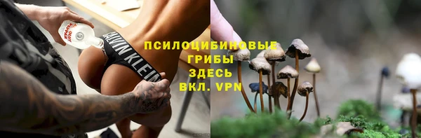 прущие грибы Верхний Тагил