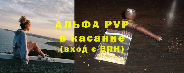 прущие грибы Верхний Тагил